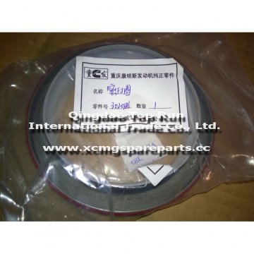 Seal-ring-oil-3020186